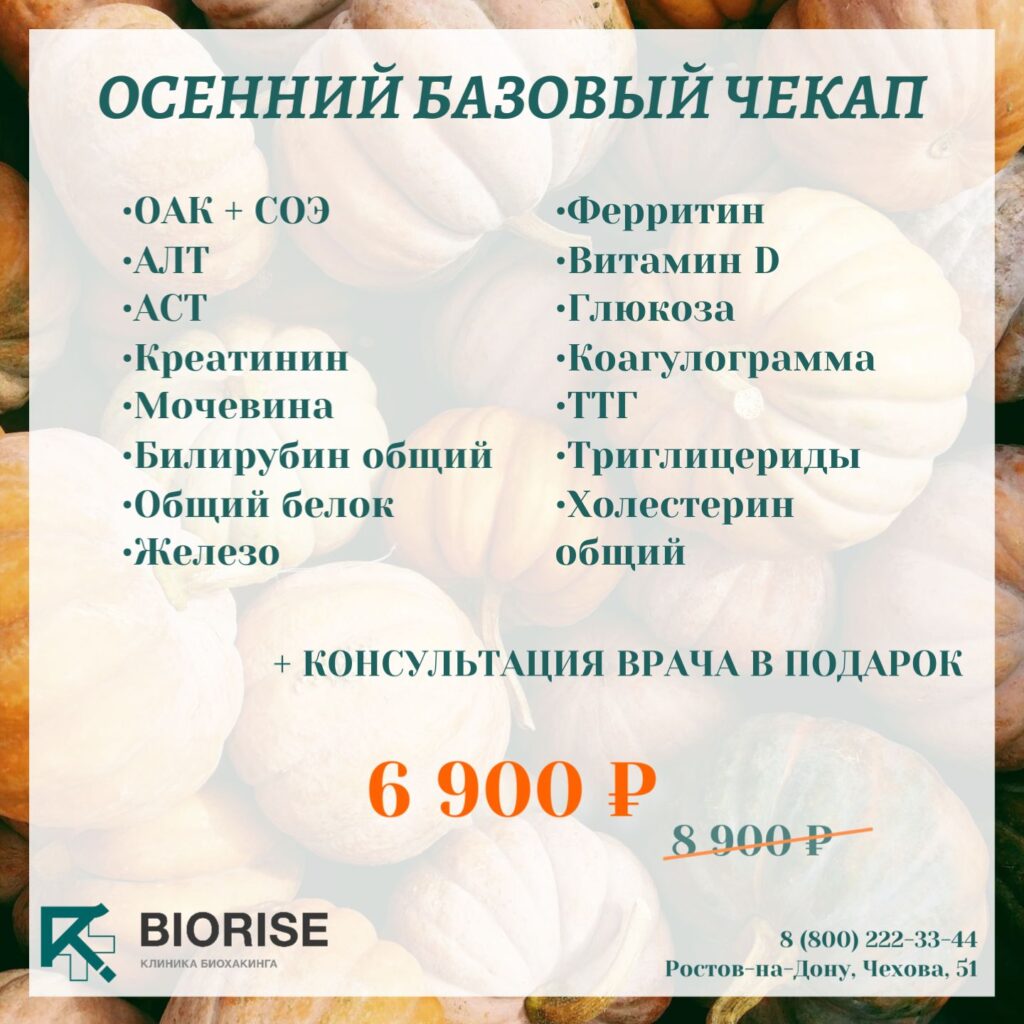 Осенний базовый ЧЕКАП